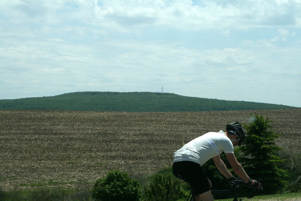 Photograph