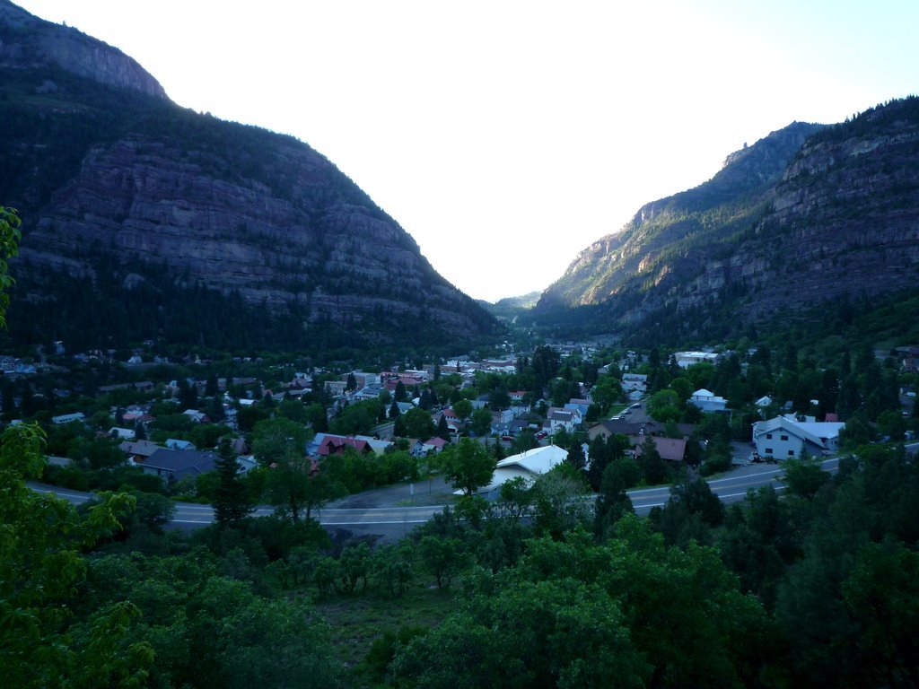 Photograph