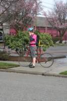 Photo Number 11