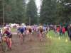 Photo Number 9