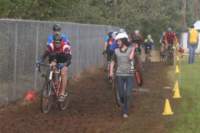 Photo Number 6