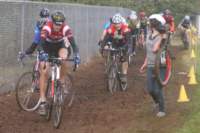 Photo Number 8
