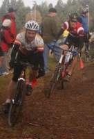 Photo Number 14