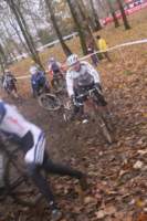 Photo Number 14