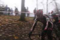 Photo Number 11