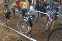 Photo Number 14