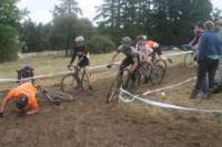 Photo Number 11