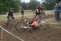 Photo Number 13