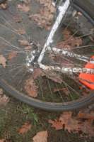 Photo Number 9