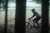 Photo Number 10