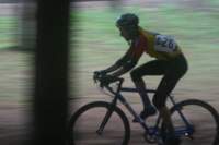 Photo Number 11