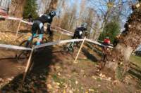 Photo Number 15