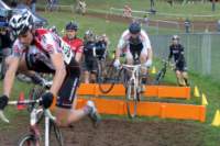 Photo Number 13