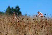 Photo Number 21