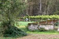 Photo Number 6