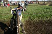 Photo Number 14