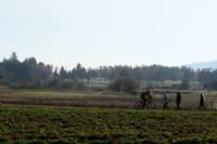 Photo Number 6