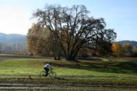 Photo Number 7