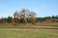 Photo Number 8