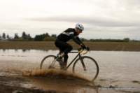 Photo Number 14