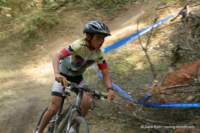 Photo Number 13